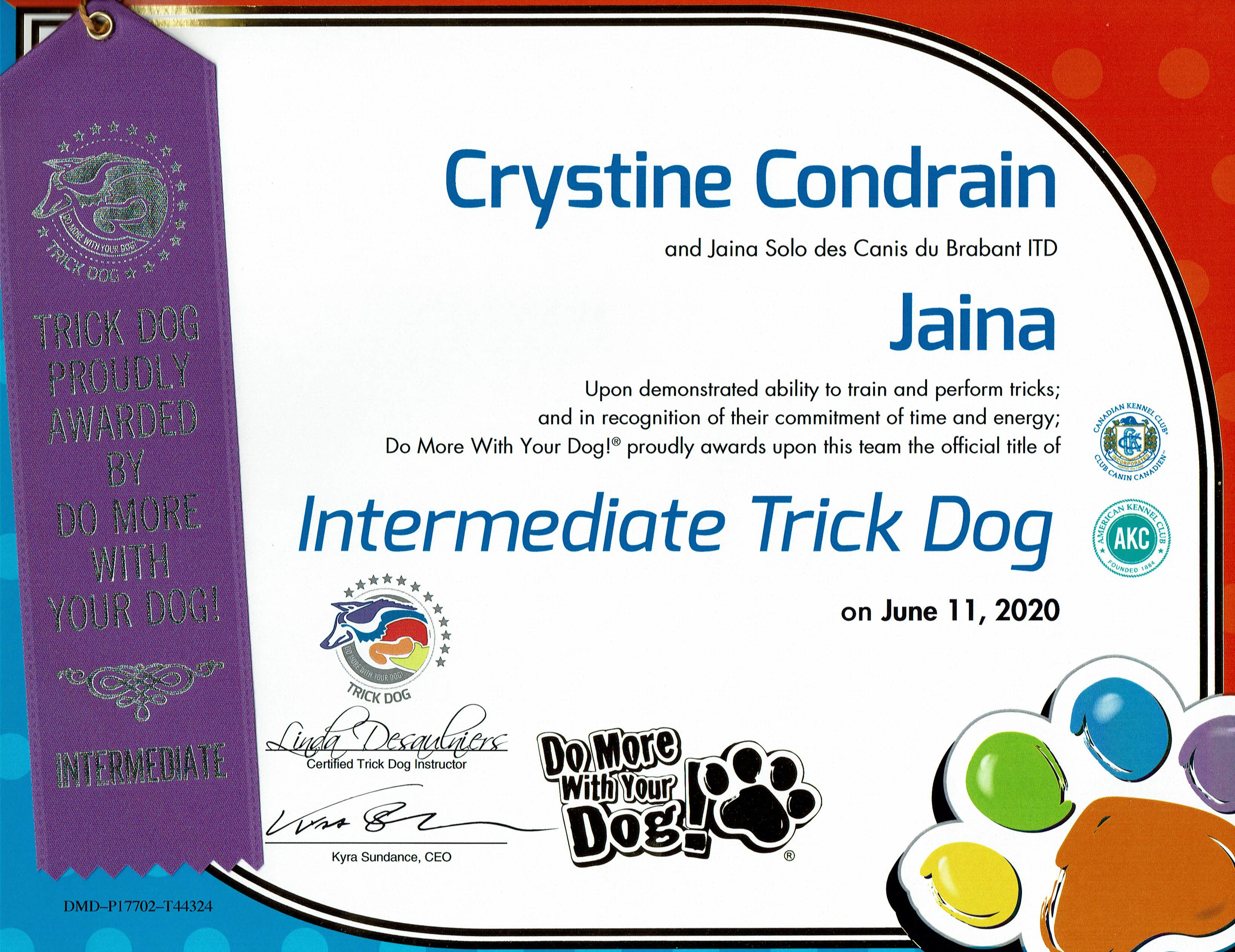 Certificat "Trick Dog" - Intermédiaire - Jaina 2020